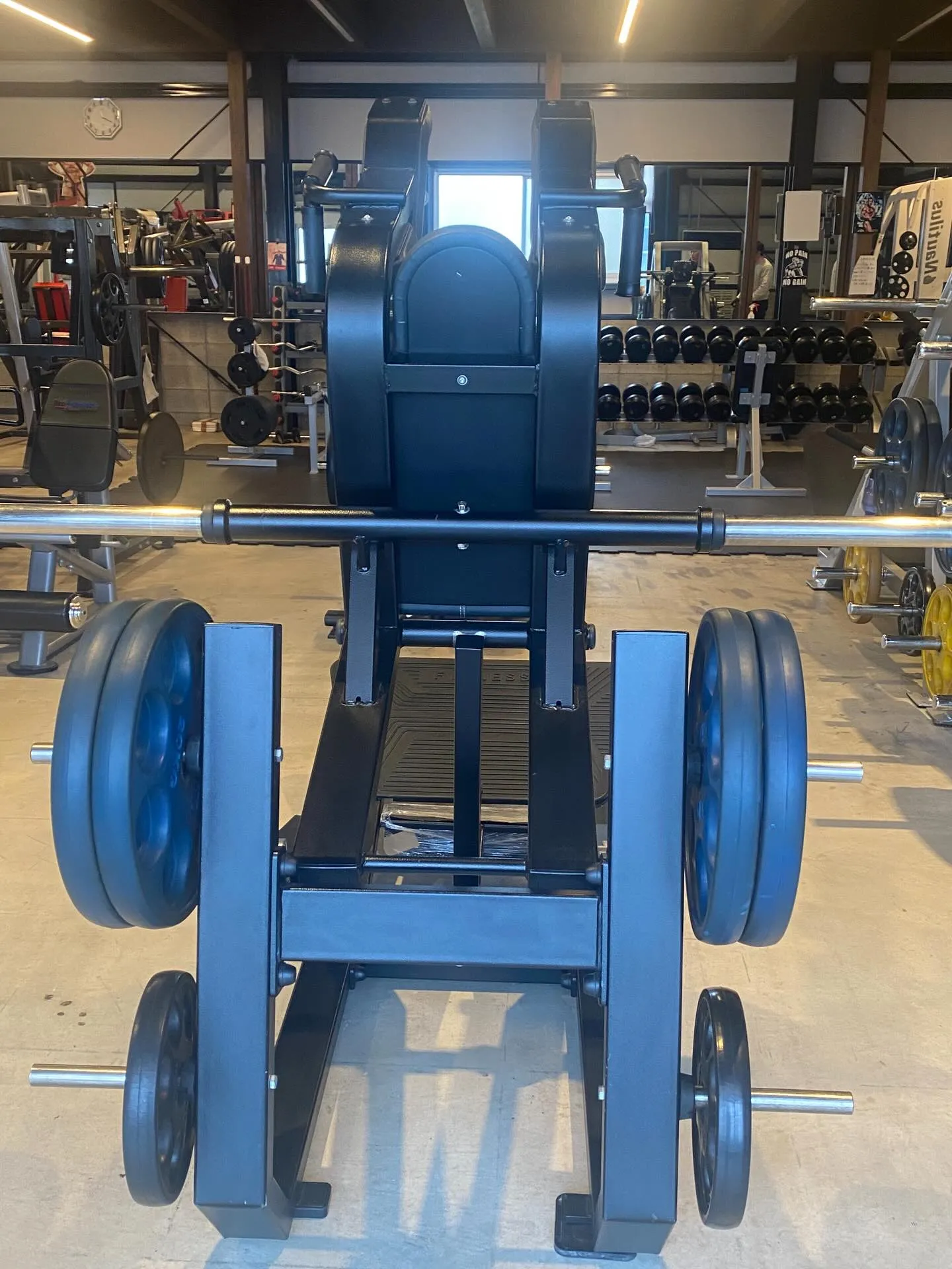 こんにちは、皆様の健康とフィットネスをサポートする「MIKI...